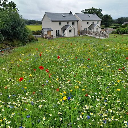 Family Country Cottage With Stunning Mountain Views Myddfai Екстер'єр фото