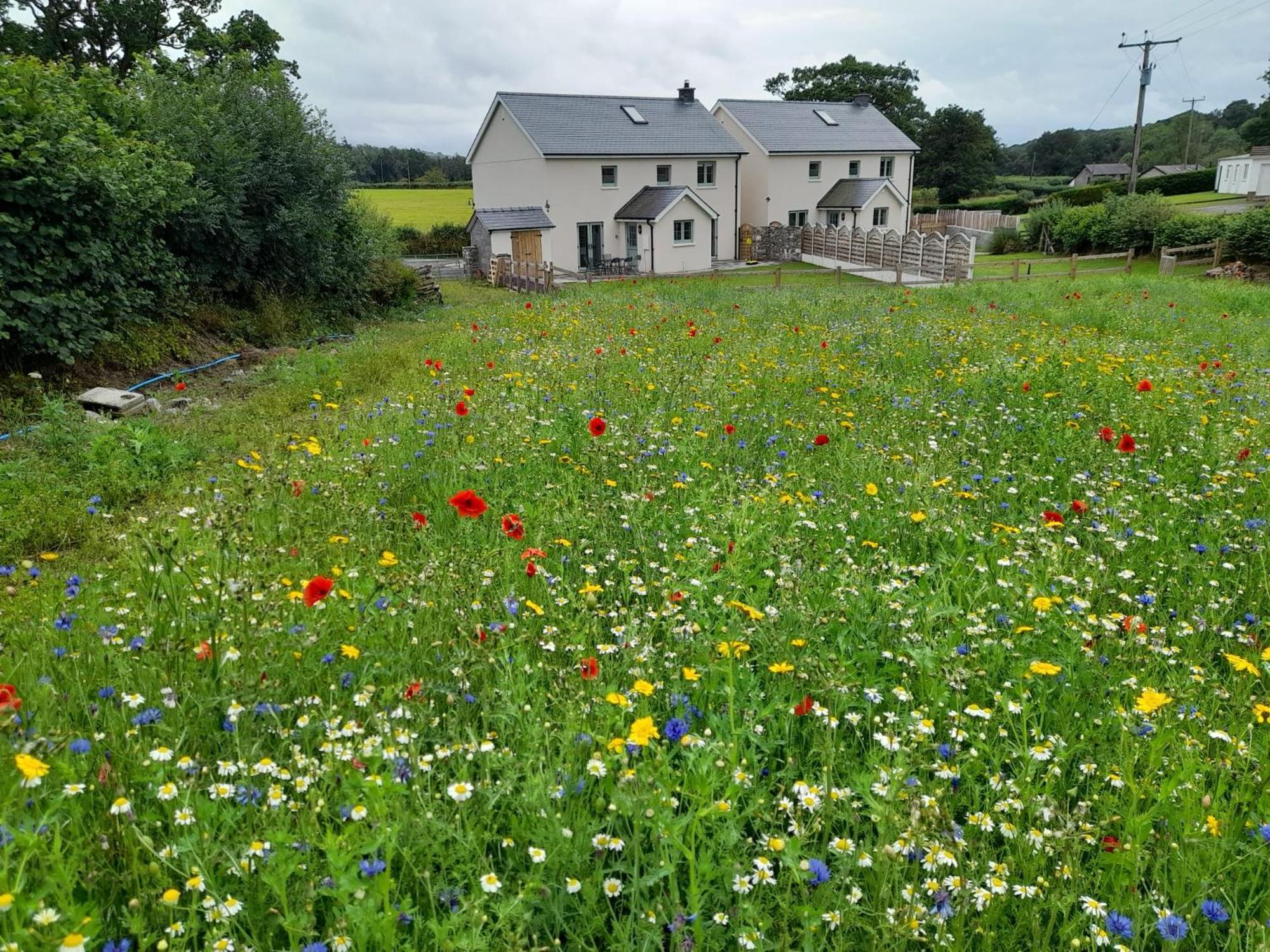 Family Country Cottage With Stunning Mountain Views Myddfai Екстер'єр фото